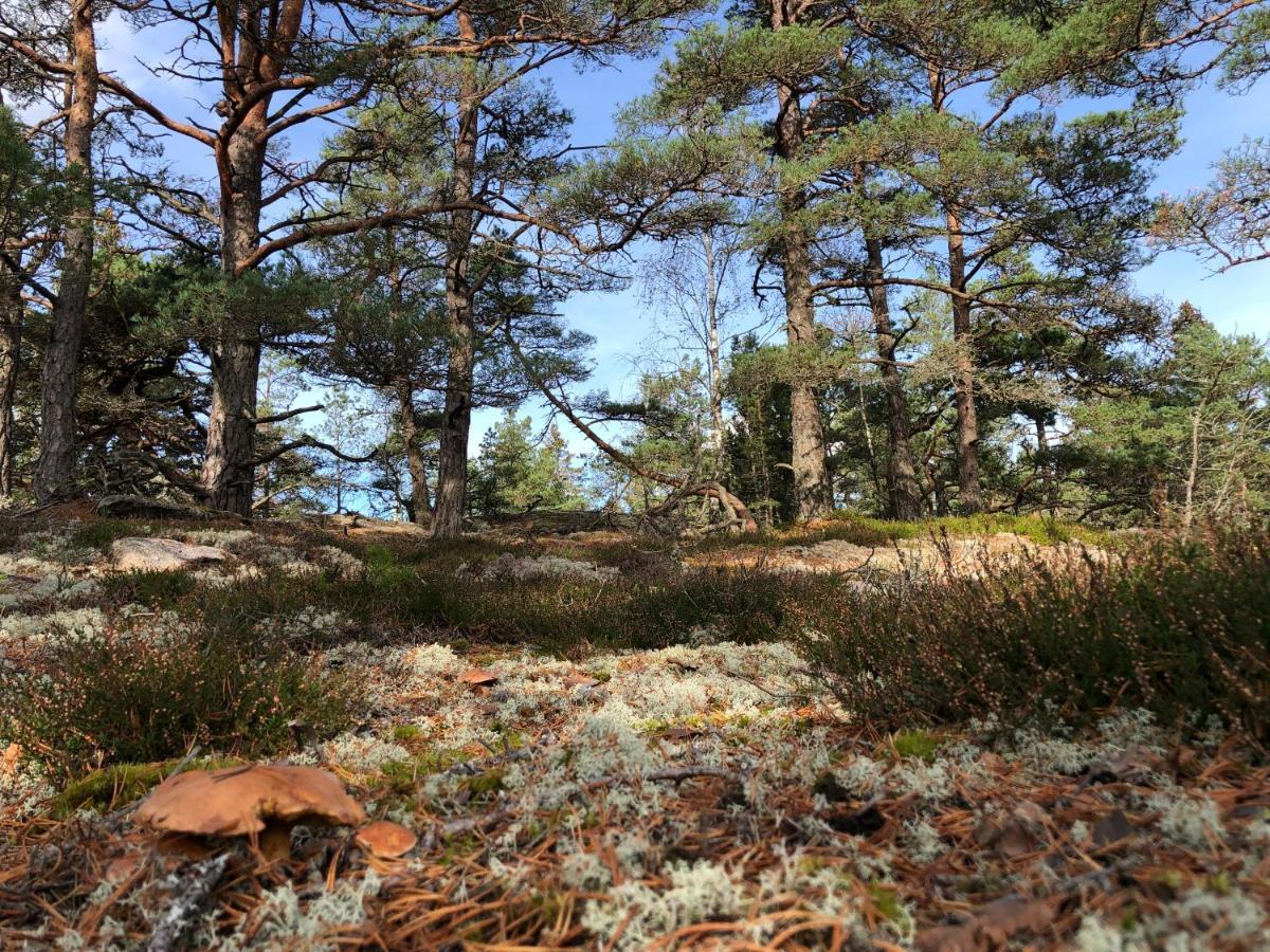 Lur  Mysig Och Modern Stuga Pa Snoegard, Naera Havet Och Naturen מראה חיצוני תמונה