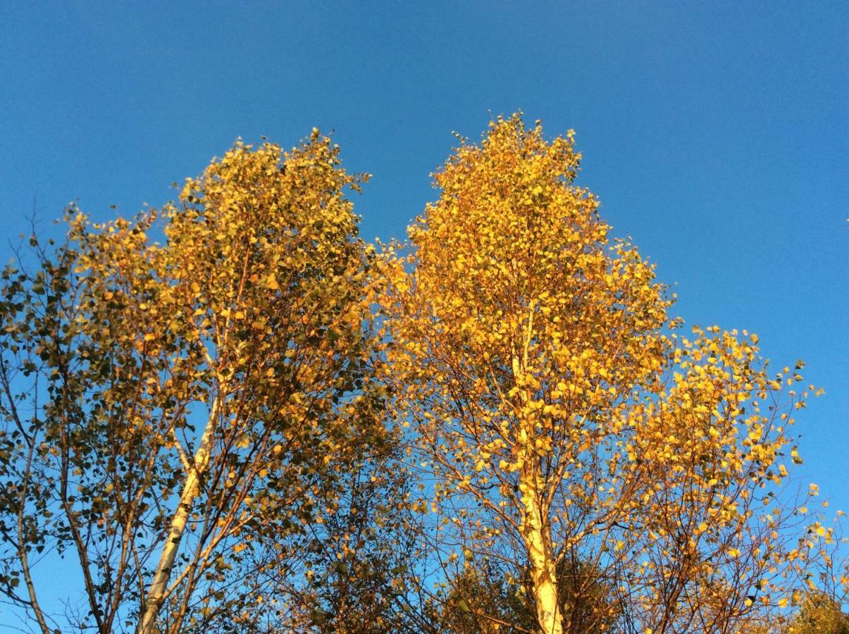 Lur  Mysig Och Modern Stuga Pa Snoegard, Naera Havet Och Naturen מראה חיצוני תמונה