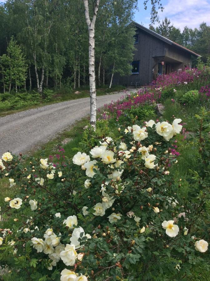 Lur  Mysig Och Modern Stuga Pa Snoegard, Naera Havet Och Naturen מראה חיצוני תמונה